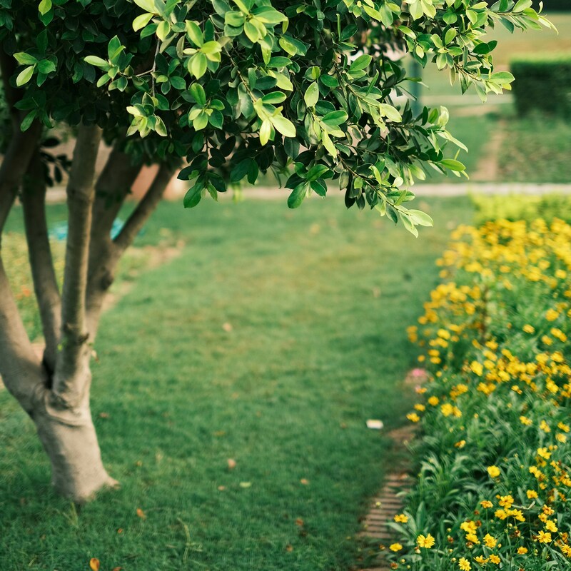 sehajpal-singh-hXzbQJW-P3Y-unsplash (1) (1)